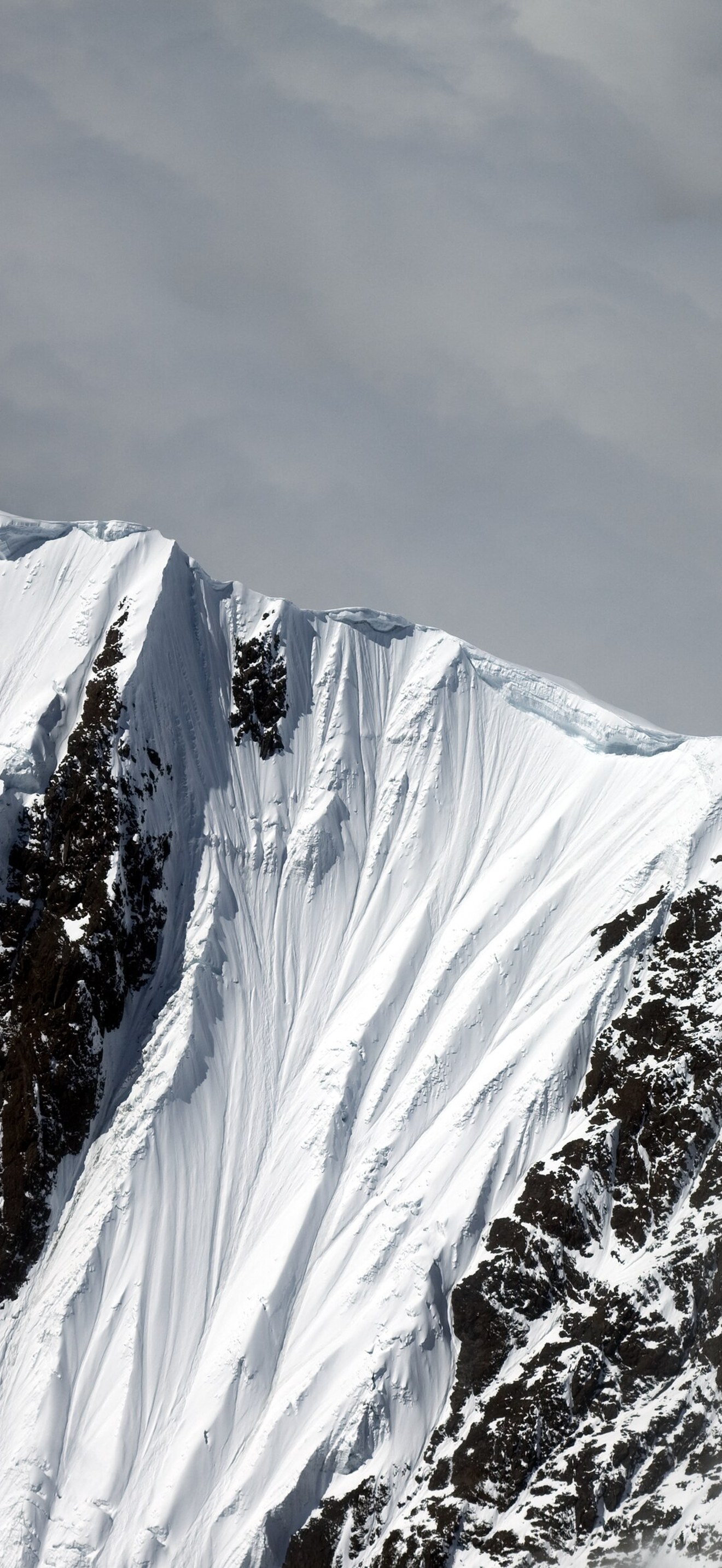 Alpine Ridge, Denali National Park, Alaska