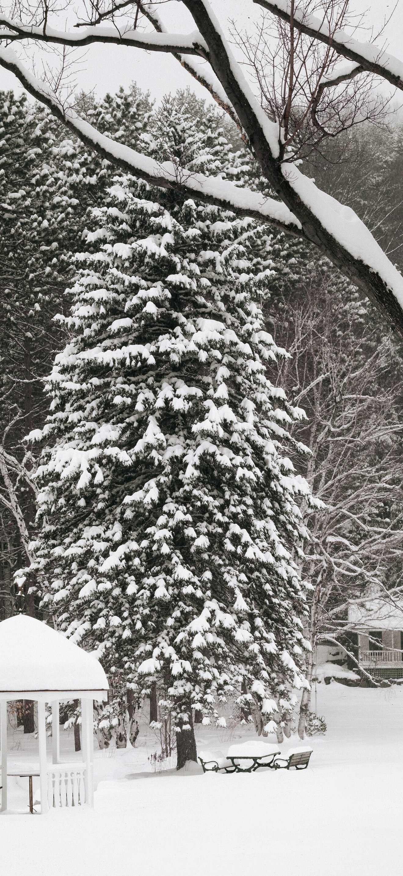 Snow scene in a park, Woodstock, Vermont