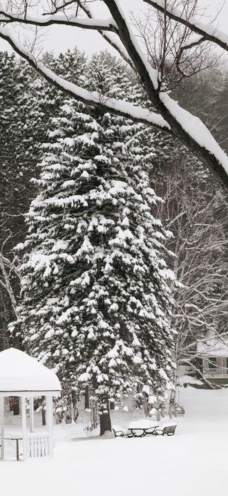 Snow scene in a park, Woodstock, Vermont